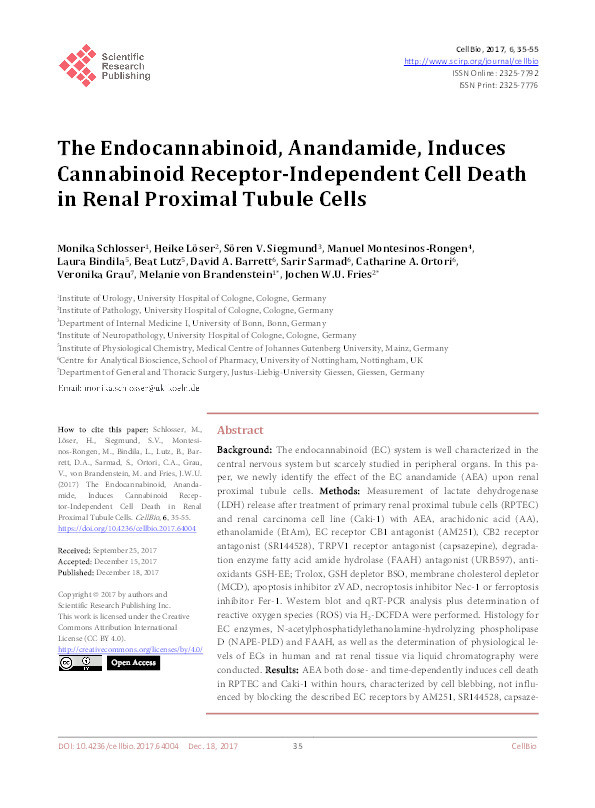 The Endocannabinoid, Anandamide, Induces Cannabinoid Receptor-Independent Cell Death in Renal Proximal Tubule Cells Thumbnail