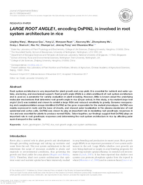 LARGE ROOT ANGLE1, encoding OsPIN2, is involved in root system architecture in rice Thumbnail