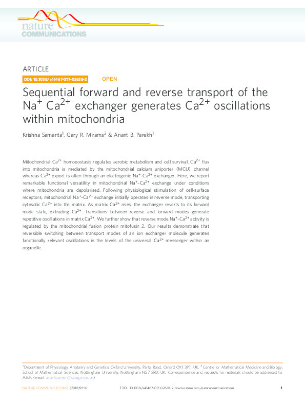 Sequential forward and reverse transport of the Na+ Ca2+ exchanger generates Ca2+ oscillations within mitochondria Thumbnail
