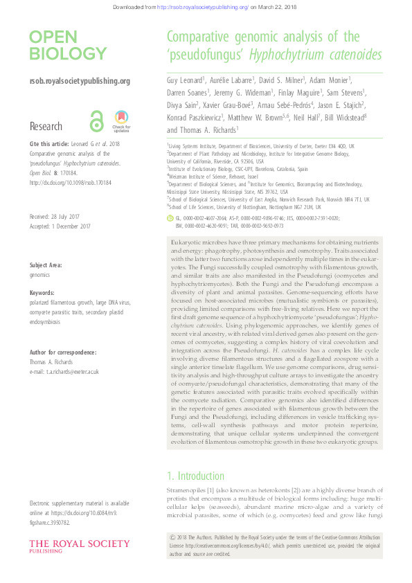 Comparative genomic analysis of the ‘pseudofungus’ Hyphochytrium catenoides Thumbnail