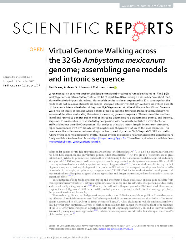 Virtual genome walking across the 32 Gb Ambystoma mexicanum genome; assembling gene models and intronic sequence Thumbnail