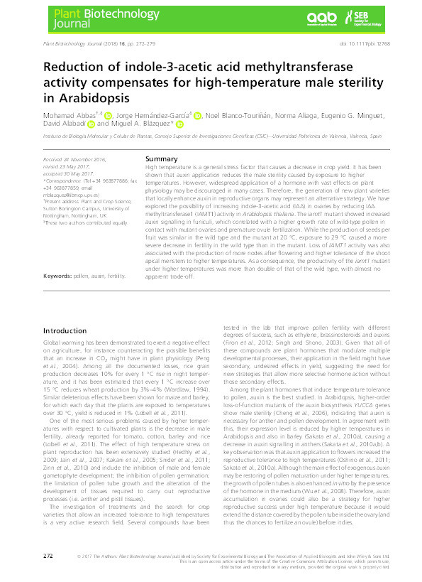 Reduction of indole-3-acetic acid methyltransferase activity compensates for high-temperature male sterility in Arabidopsis Thumbnail