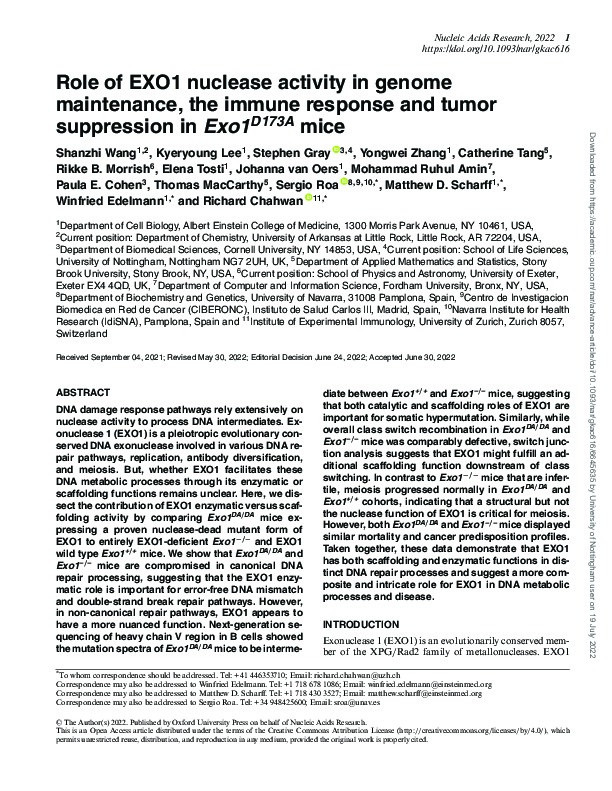 Role of EXO1 nuclease activity in genome maintenance, the immune response and tumor suppression in Exo1 D173A mice Thumbnail