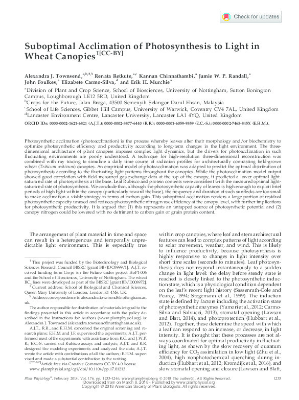 Suboptimal acclimation of photosynthesis to light in wheat canopies Thumbnail