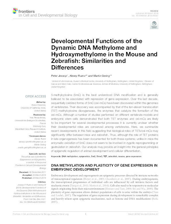 Developmental functions of the dynamic DNA methylome and hydroxymethylome in the mouse and zebrafish: similarities and differences Thumbnail