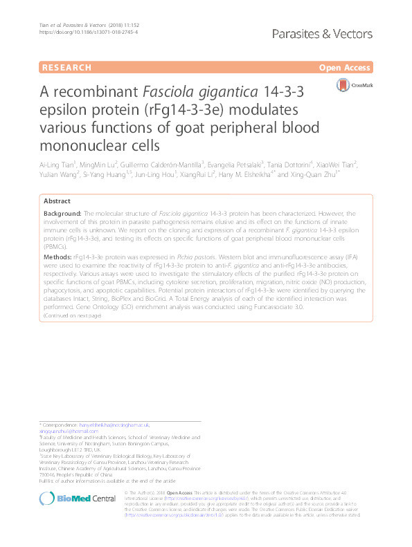 A recombinant Fasciola gigantica 14-3-3 epsilon protein (rFg14-3-3e) modulates various functions of goat peripheral blood mononuclear cells Thumbnail