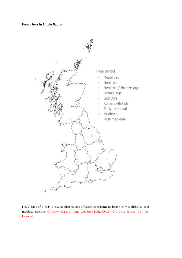 The presence of the brown bear Ursus arctos in Holocene Britain: a review of the evidence Thumbnail