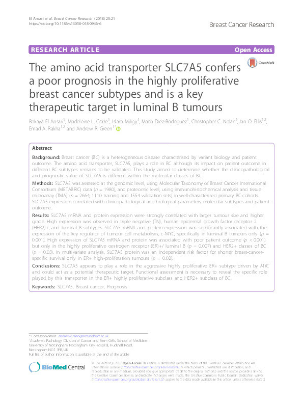 The amino acid transporter SLC7A5 confers a poor prognosis in the highly proliferative breast cancer subtypes and is a key therapeutic target in luminal B tumours Thumbnail