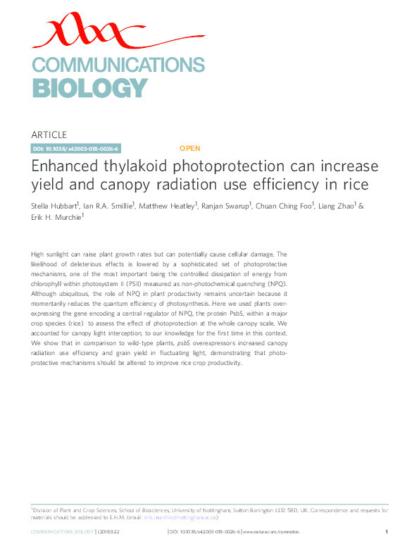 Enhanced thylakoid photoprotection can increase yield and canopy radiation use efficiency in rice Thumbnail