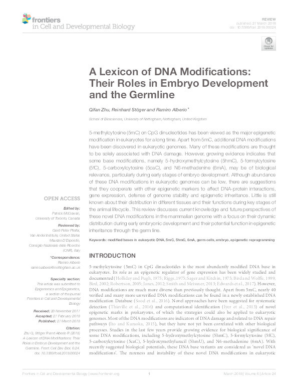 A lexicon of DNA modifications: their roles in embryo development and the germline Thumbnail