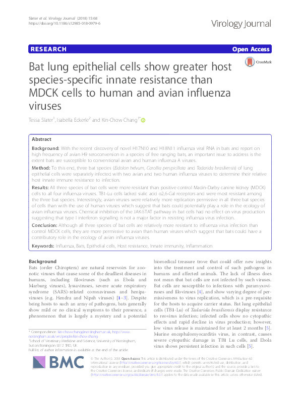 Bat lung epithelial cells show greater host species-specific innate resistance than MDCK cells to human and avian influenza viruses Thumbnail