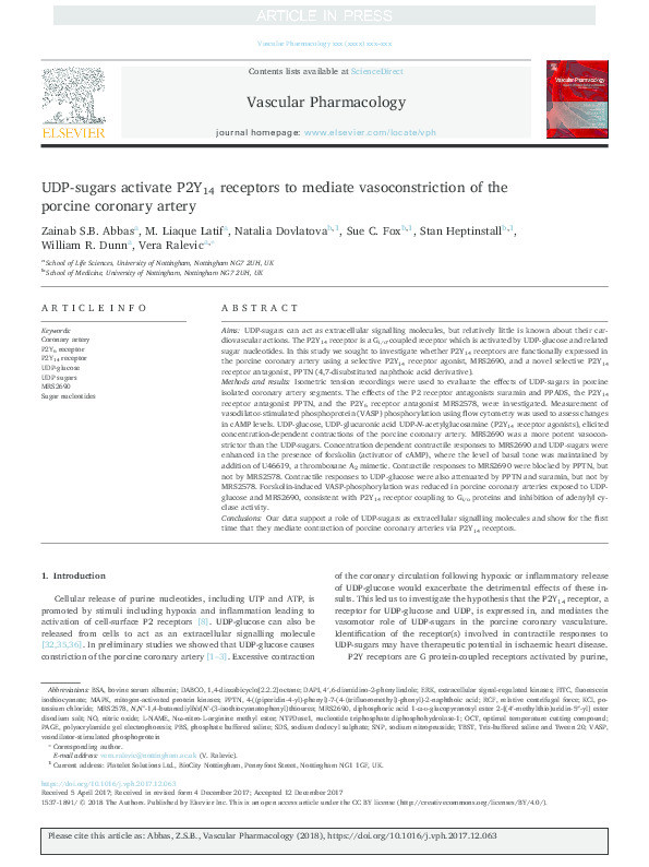 UDP-sugars activate P2Y 14 receptors to mediate vasoconstriction of the porcine coronary artery Thumbnail