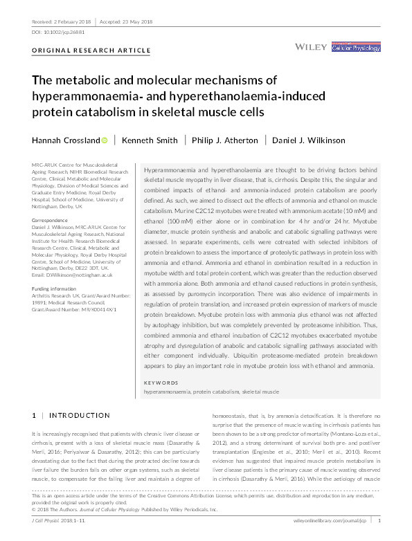 The metabolic and molecular mechanisms of hyperammonaemia and hyperethanolaemia induced protein catabolism in skeletal muscle cells Thumbnail