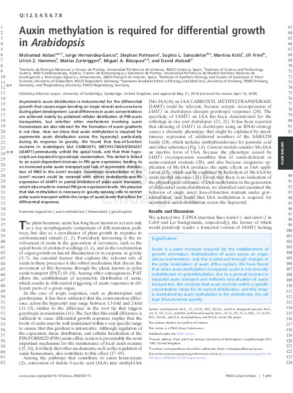 Auxin methylation is required for differential growth in Arabidopsis Thumbnail