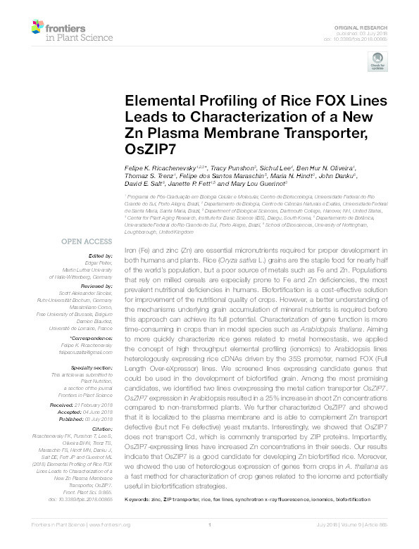 Elemental profiling of rice FOX lines leads to characterization of a new Zn plasma membrane transporter, OsZIP7 Thumbnail