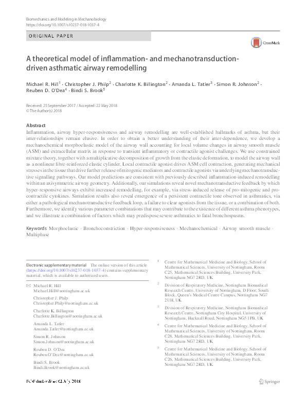 A theoretical model of inflammation- and mechanotransduction-driven asthmatic airway remodelling Thumbnail