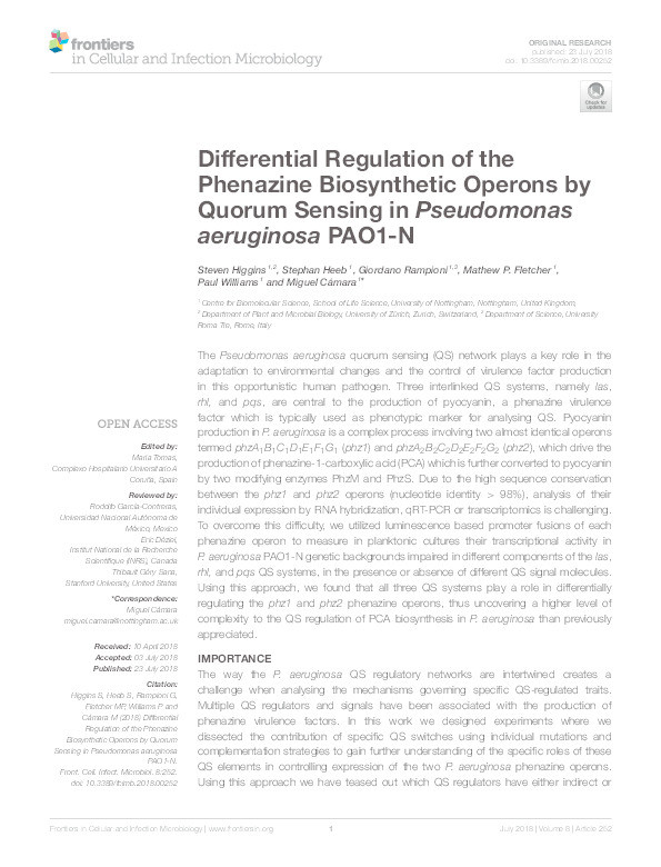 Differential regulation of the phenazine biosynthetic operons by quorum sensing in Pseudomonas aeruginosa PAO1-N Thumbnail