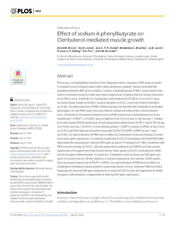 Effect of sodium 4-phenylbutyrate on clenbuterol-mediated muscle growth Thumbnail