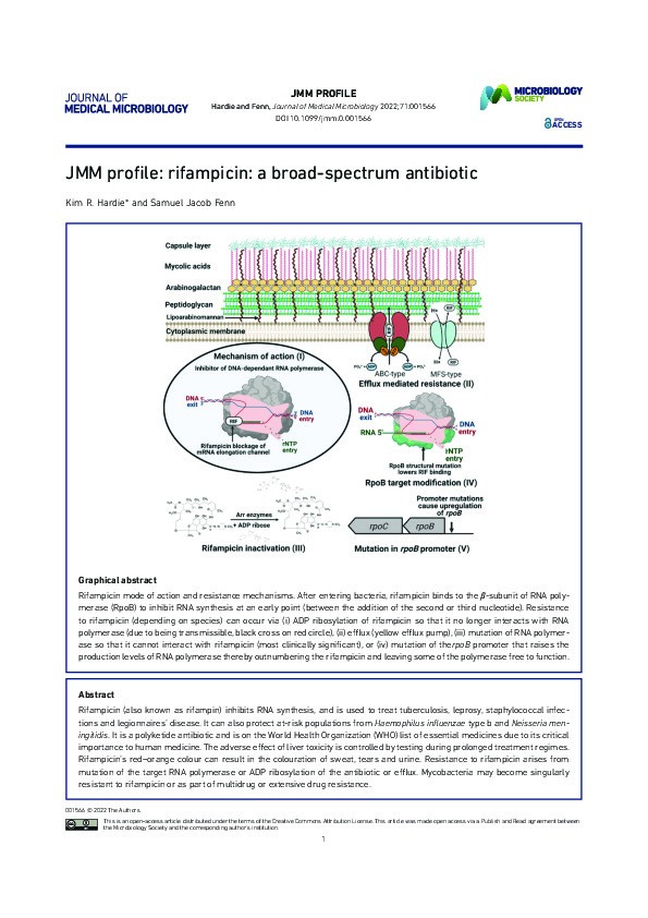 JMM profile: rifampicin: a broad-spectrum antibiotic Thumbnail