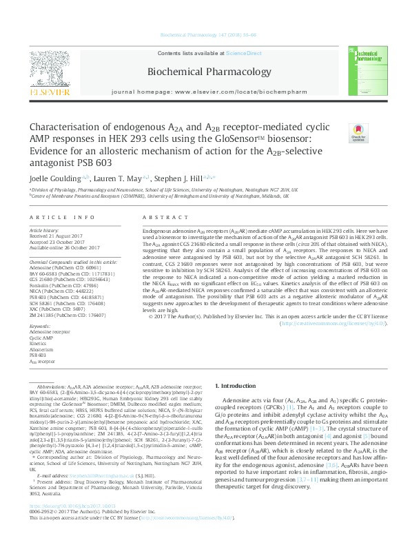 Characterisation of endogenous A2A and A2B receptor-mediated cyclic AMP responses in HEK 293 cells using the GloSensor™ biosensor: evidence for an allosteric mechanism of action for the A2B-selective antagonist PSB 603 Thumbnail