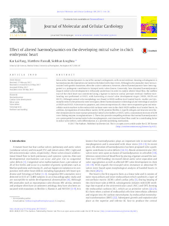 Effect of altered haemodynamics on the developing mitral valve in chick embryonic heart Thumbnail