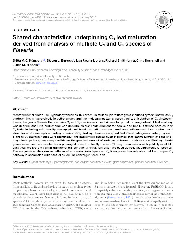 Shared characteristics underpinning C 4 leaf maturation derived from analysis of multiple C 3 and C 4 species of Flaveria Thumbnail