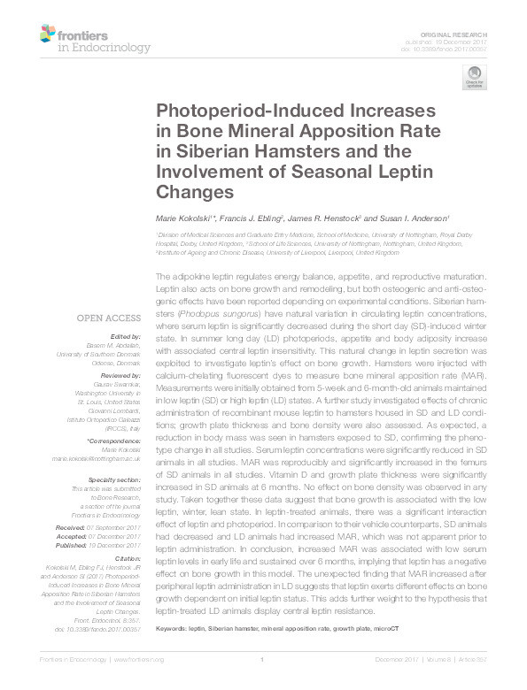 Photoperiod-induced increases in bone mineral apposition rate in Siberian hamsters and the involvement of seasonal leptin changes Thumbnail