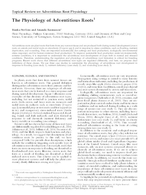 The physiology of adventitious roots Thumbnail