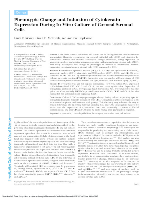 Phenotypic change and induction of cytokeratin expression during in vitro culture of corneal stromal cells Thumbnail