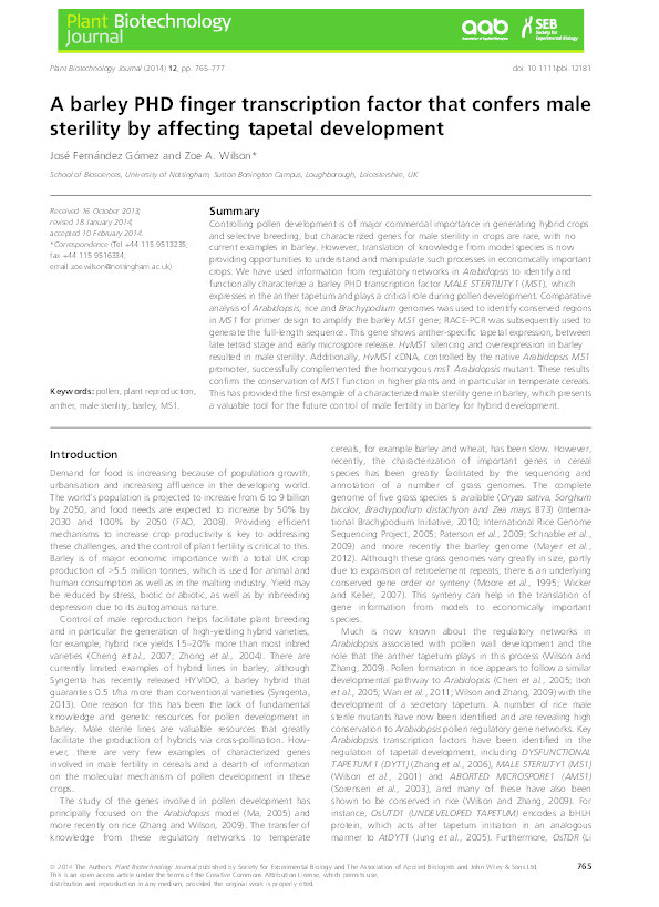 A barley PHD finger transcription factor that confers male sterility by affecting tapetal development Thumbnail