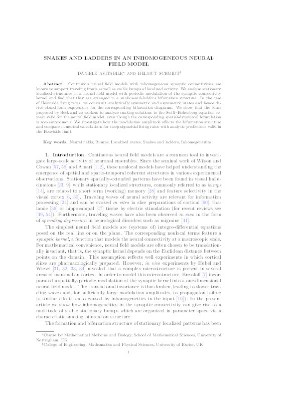 Snakes and ladders in an inhomogeneous neural field model Thumbnail